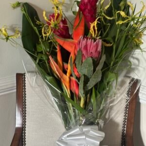 Protea Paradise Bloom