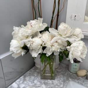 Serenity’s Peaceful Bloom