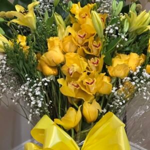 LWB Sunshine Symphony