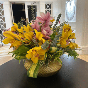 Orchid Radiance Bloom
